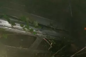  &copy;&nbsp;Фото пресс-службы ЮРПСО МЧС России