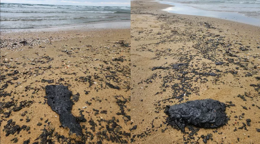  &copy;&nbsp;Коллаж из скриншотов фото из телеграм-канала &laquo;Макс Анапский&raquo;