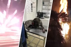  &copy;&nbsp;Коллаж из скриншотов видео в телеграм-каналах &laquo;Телетайп №1 Краснодар&raquo;, &laquo;Туподар&raquo;, &laquo;ЧП Сочи&raquo;