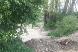  &copy;&nbsp;Фото пресс-службы мэрии Краснодара