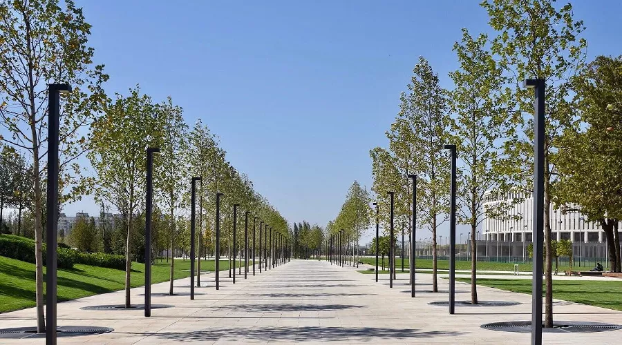  &copy;&nbsp;Фото Сергея Галицкого