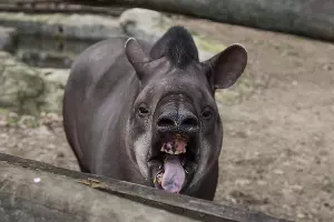  &copy;&nbsp;Фото Елены Синеок, Юга.ру