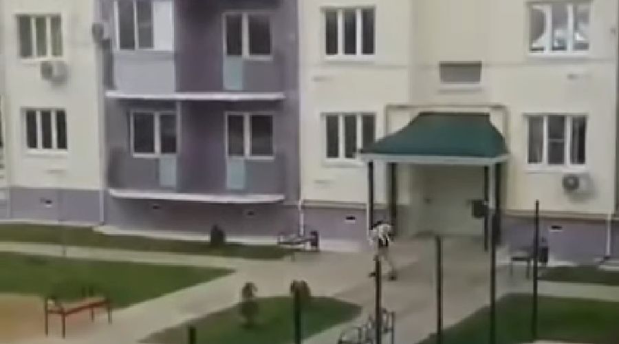  © Скриншот из видео