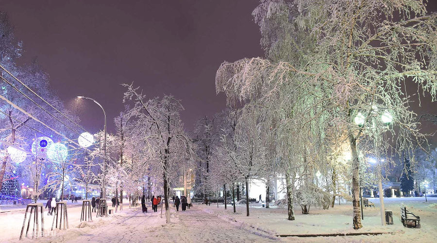 Снегопад в Краснодаре &copy;&nbsp;Фото Михаила Ступина, Юга.ру