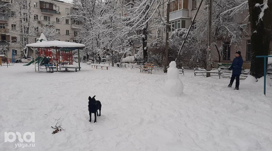  © Фото Анны Петровой, Юга.ру