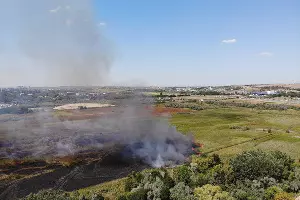  &copy;&nbsp;Фото со страницы instagram.com/cheh_rodion