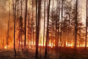  &copy;&nbsp;Фото пресс-службы ГУ МЧС России по Краснодарскому краю