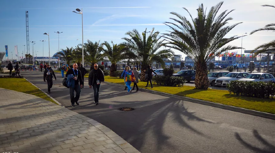 Перед медиацентром Сочи растут пальмы &copy;&nbsp;Фото Елены Синеок, Юга.ру