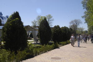  © Фото Марии Строителевой, Юга.ру