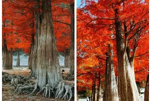  &copy;&nbsp;Фото Вячеслава Ревуна