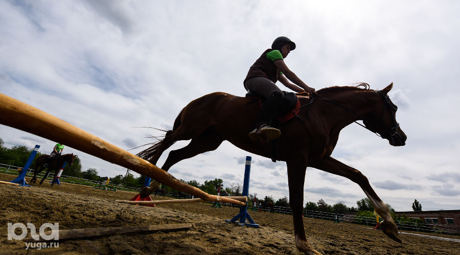  © Фото Елены Синеок, Юга.ру
