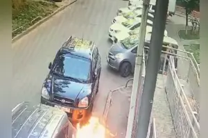  &copy;&nbsp;Скриншот видео из телеграм-канала t.me/tipichkras