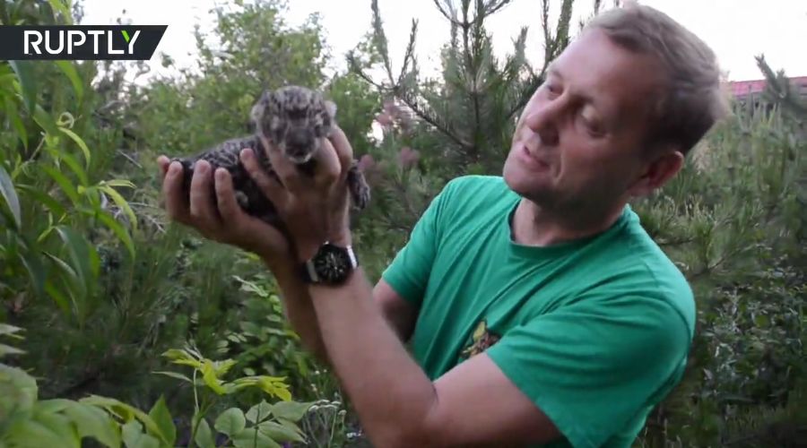 Директор «Тайгана» Олег Зубков держит детеныша дальневосточного леопарда Каспера © Скриншот видео с сайта russian.rt.com