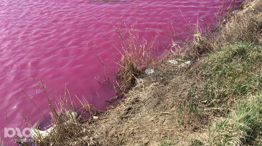  &copy;&nbsp;Фото Александра Гончаренко, Юга.ру