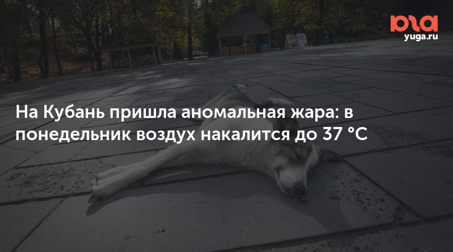 На Кубань пришла аномальная жара: в понедельник воздух накалится до 37 °C