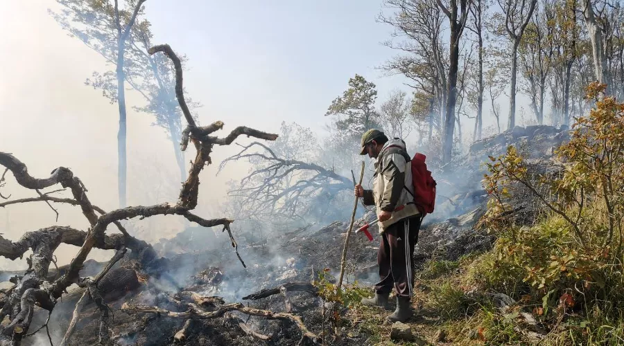  &copy;&nbsp;Фото пресс-службы ГУ МЧС России по Краснодарскому краю
