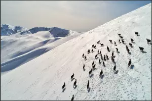  &copy;&nbsp;Скриншот из телеграм-канала &laquo;Лаго-Наки Живи&raquo; https://t.me/lagonakilive/3285
