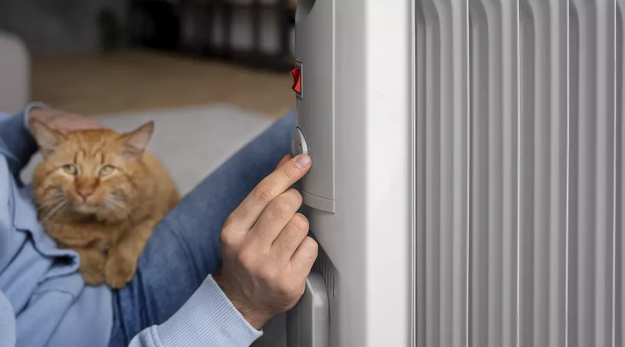  &copy;&nbsp;Фото пользователя freepik с сайта freepik.com