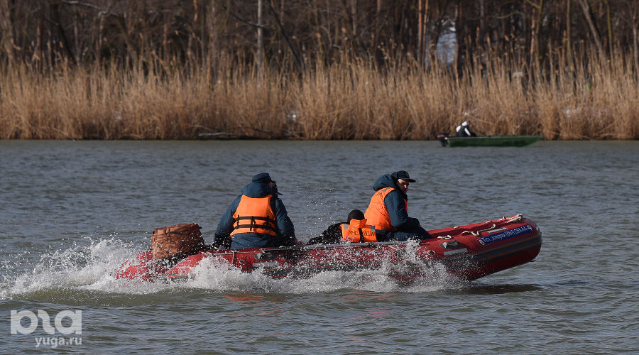 © Фото Елены Синеок, Юга.ру