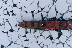 Кадр из трейлера фильма «В Арктику»  &copy;&nbsp;Скриншот видео с сайта &laquo;Кинопоиск&raquo;