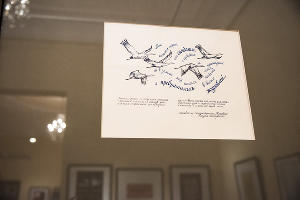  © Елена Синеок, Юга.ру