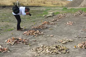 Раскопки в Фанагории &copy;&nbsp;Фото Елены Синеок, Юга.ру