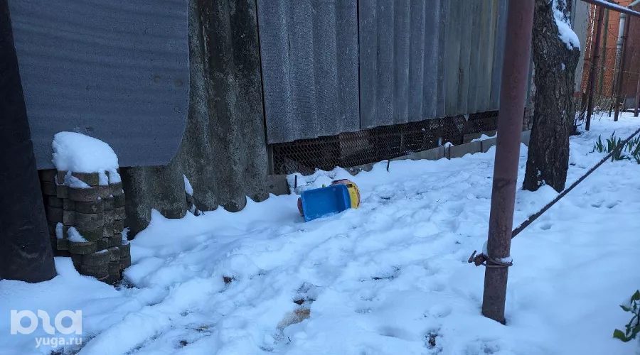  &copy;&nbsp;Фото Александры Прохоренковой-Аксёновой, Юга.ру