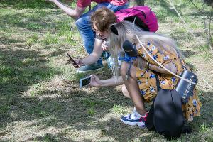 Желтопузик © Фото пресс-службы Сочинского нацпарка