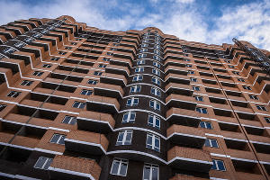  © Фото Елены Синеок, Юга.ру