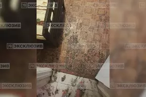  &copy;&nbsp;Фото из телеграм-канала 78.ru, https://t.me/good78news/