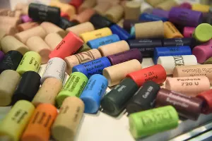  &copy;&nbsp;Фото Елены Синеок, Юга.ру