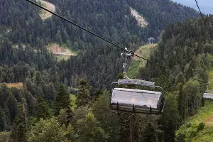  &copy;&nbsp;Фото Марины Солошко, Юга.ру