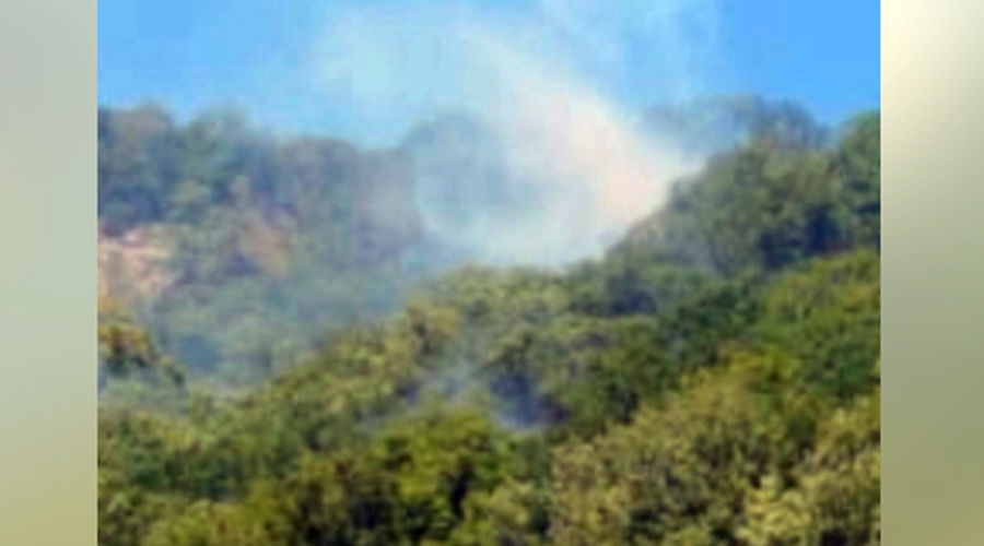 Пожар в лесу рядом с Новомихайловкой, 14 июля 2024 г. &copy;&nbsp;Скриншот публикации в телеграм-канале администрации Туапсинского района, t.me/tuapseregionadm