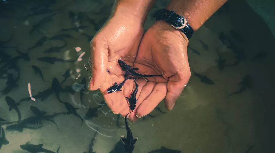  &copy;&nbsp;Фото Марии Ефимкиной