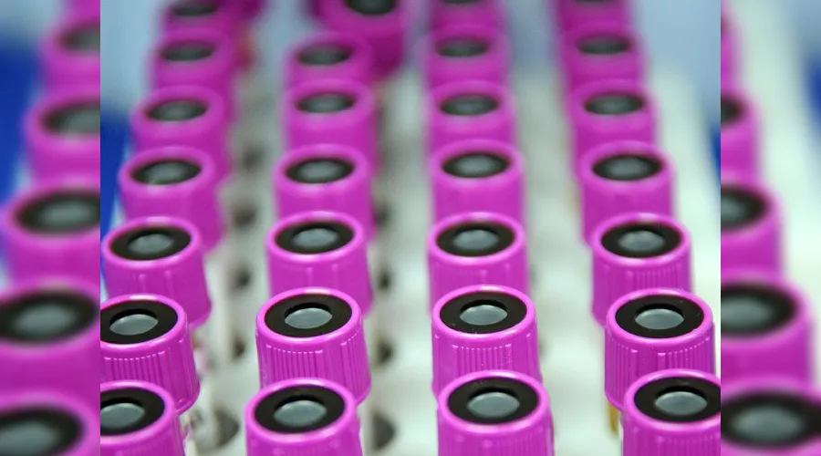  &copy;&nbsp;Елена Синеок. ЮГА.ру