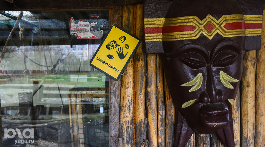  © Фото Елены Синеок, Юга.ру