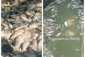  &copy;&nbsp;Скриншот из телеграм-канала &laquo;Горячий Ключ News&raquo; https://t.me/gk_news1/71782