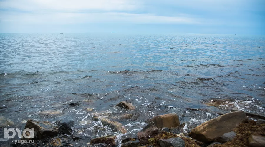Море &copy;&nbsp;Фото Елены Синеок, Юга.ру