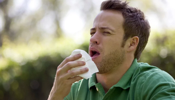  &copy;&nbsp;Фото с сайта pixabay.com