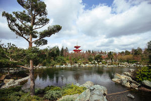 Японский сад © Фото Антона Быкова, Юга.ру