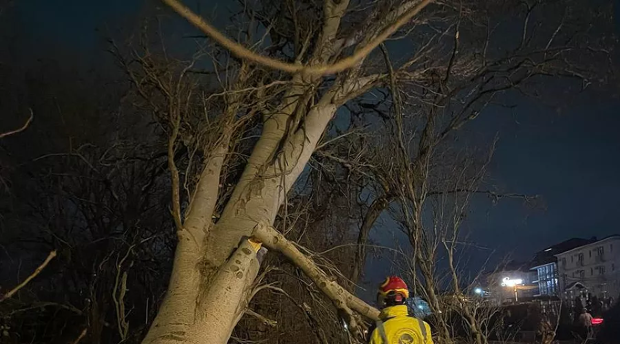  &copy;&nbsp;Скриншот из телеграм-канала @chistoAnapa