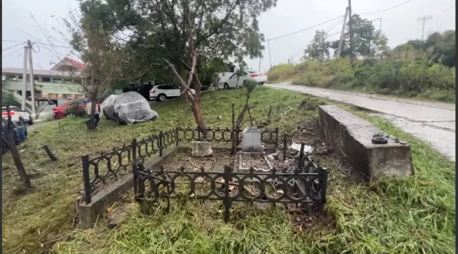  &copy;&nbsp;Скриншот фото из телеграм-канала &laquo;Мэр Сочи Андрей Прошунин&raquo;