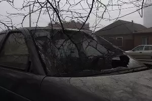  &copy;&nbsp;Фото Александра Гончаренко, Юга.ру