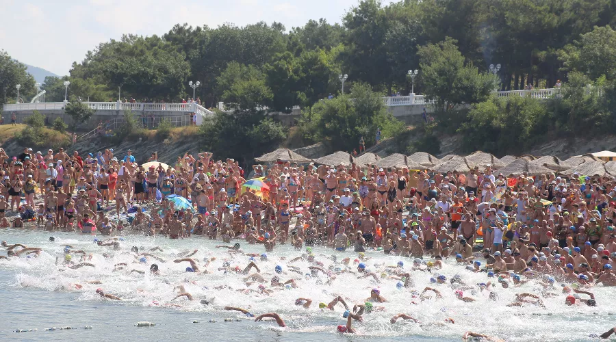 Заплыв «Морская миля» через Геленджикскую бухту &copy;&nbsp;Фото пресс-службы администрации Геленджика