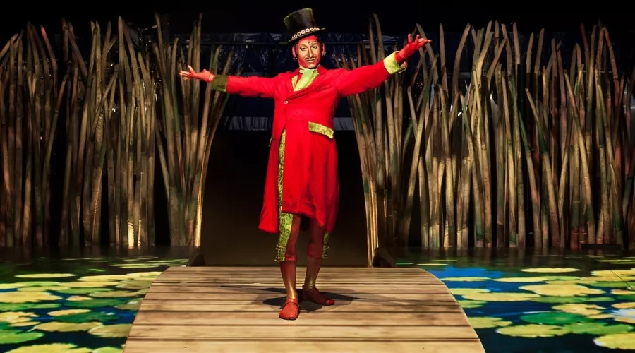  &copy;&nbsp;Фото пресс-службы Cirque du Soleil