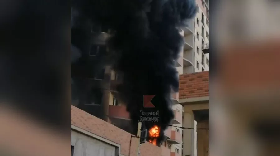  &copy;&nbsp;Скриншот видео из телеграм-канала &laquo;Типичный Краснодар&raquo;, t.me/krd_tipich_ru