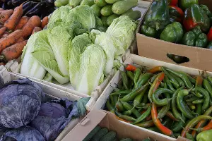  &copy;&nbsp;Фото пресс-службы администрации Краснодара