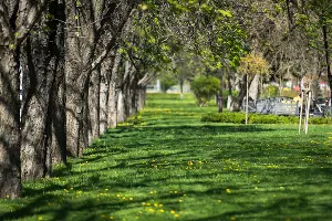  &copy;&nbsp;Фото Елены Синеок, Юга.ру
