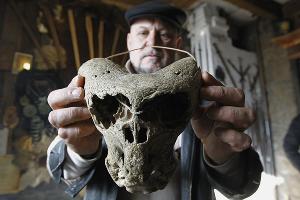 Найденные в Адыгее черепа © Фото (с) Влад Александров