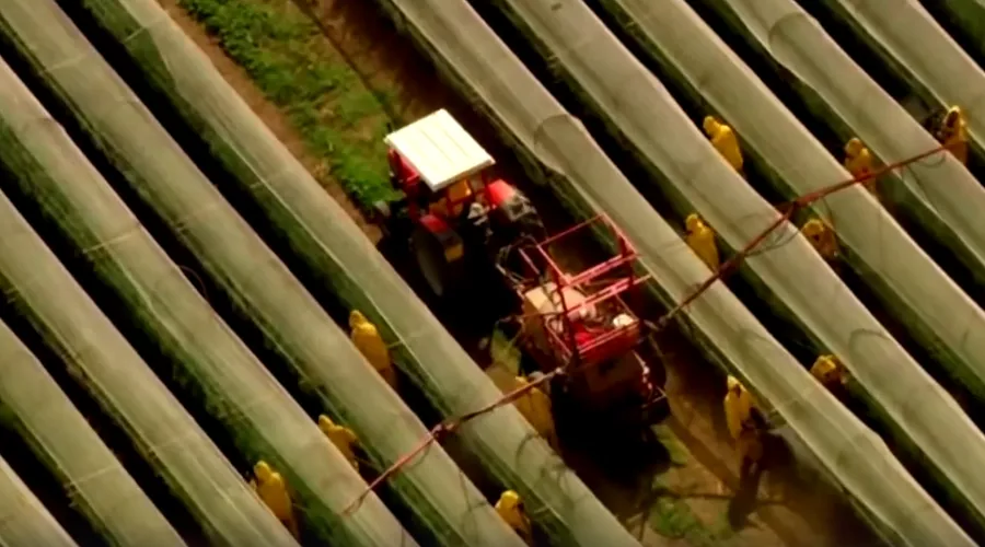 Кадр из промо-ролика к фильму «Дом. История путешествия» &copy;&nbsp;Скриншот видео с Rutube-канала &laquo;Романтика космических мечтаний&raquo;